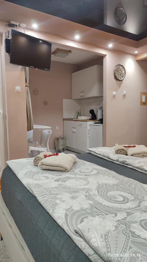 Iva Lux Apartman Zaječar Kültér fotó